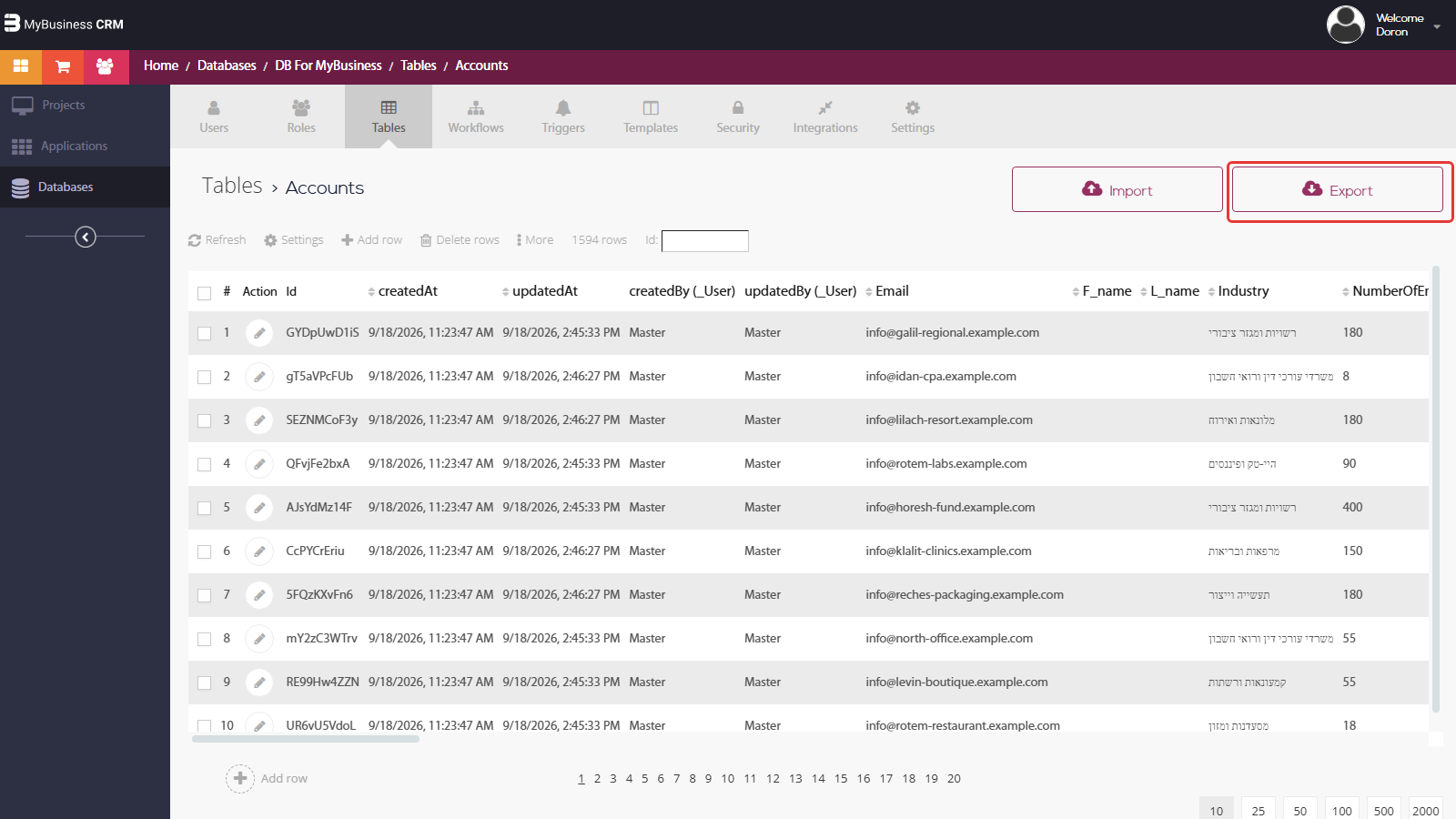 פאנל הניהול — טבלת Accounts עם כפתורי Import ו-Export בפינה הימנית העליונה (Export מסומן)