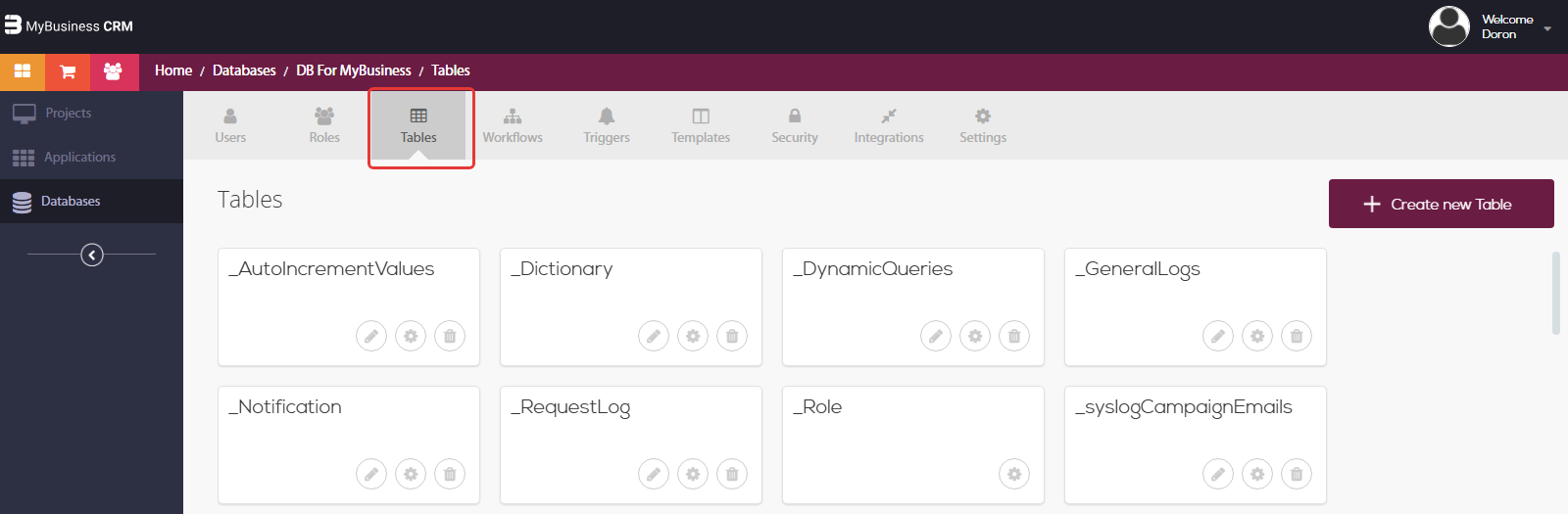 מסך מסד הנתונים DB For MyBusiness בסביבת הפיתוח — לשונית Tables מסומנת ורשימת הטבלאות